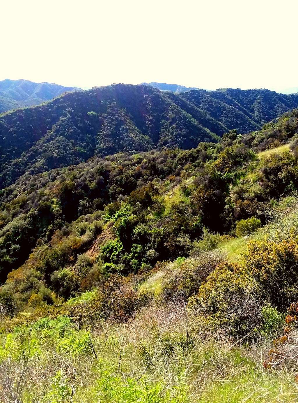 Sullivan Canyon Trailhead | 2118-2100, Queensferry Rd, Los Angeles, CA 90049