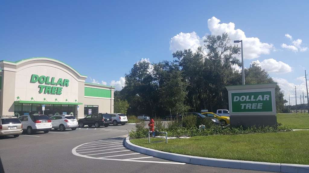 Dollar Tree | 27800 US-27, Leesburg, FL 34748, USA | Phone: (352) 787-1030