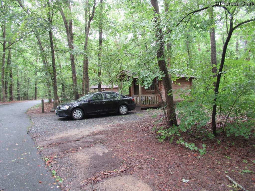 Martinak State Park, Campground, Loop A | Denton, MD 21629 | Phone: (410) 820-1668