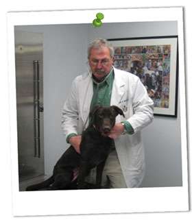 Mercersburg Veterinary Clinic, Inc. | 293 Landis Dr, Mercersburg, PA 17236, USA | Phone: (717) 328-5171