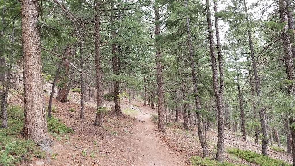 Pence Park | 4400 Parmalee Gulch Rd, Evergreen, CO 80439, USA | Phone: (720) 913-1311