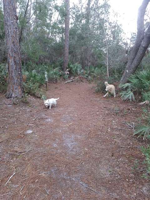 Spruce CREEK PRESERVE / Doris LEEPER | New Smyrna Beach, FL 32168, USA