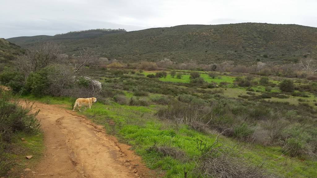 San Diego National Wildlife Refuge | 14715 CA-94, Jamul, CA 91935, USA | Phone: (619) 468-9245