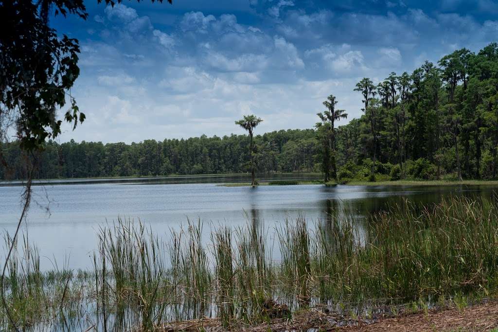 Lake Louisa State Park | 7305 US-27, Clermont, FL 34714 | Phone: (352) 394-3969