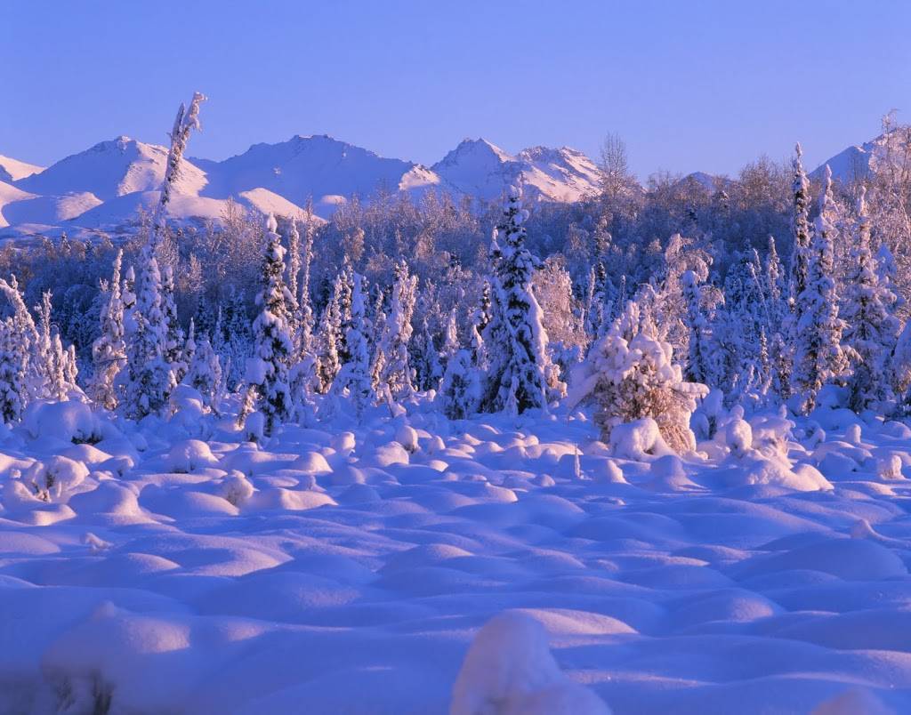 Tikishla Park | 3018 E 20th Ave, Anchorage, AK 99508, USA | Phone: (907) 343-4355