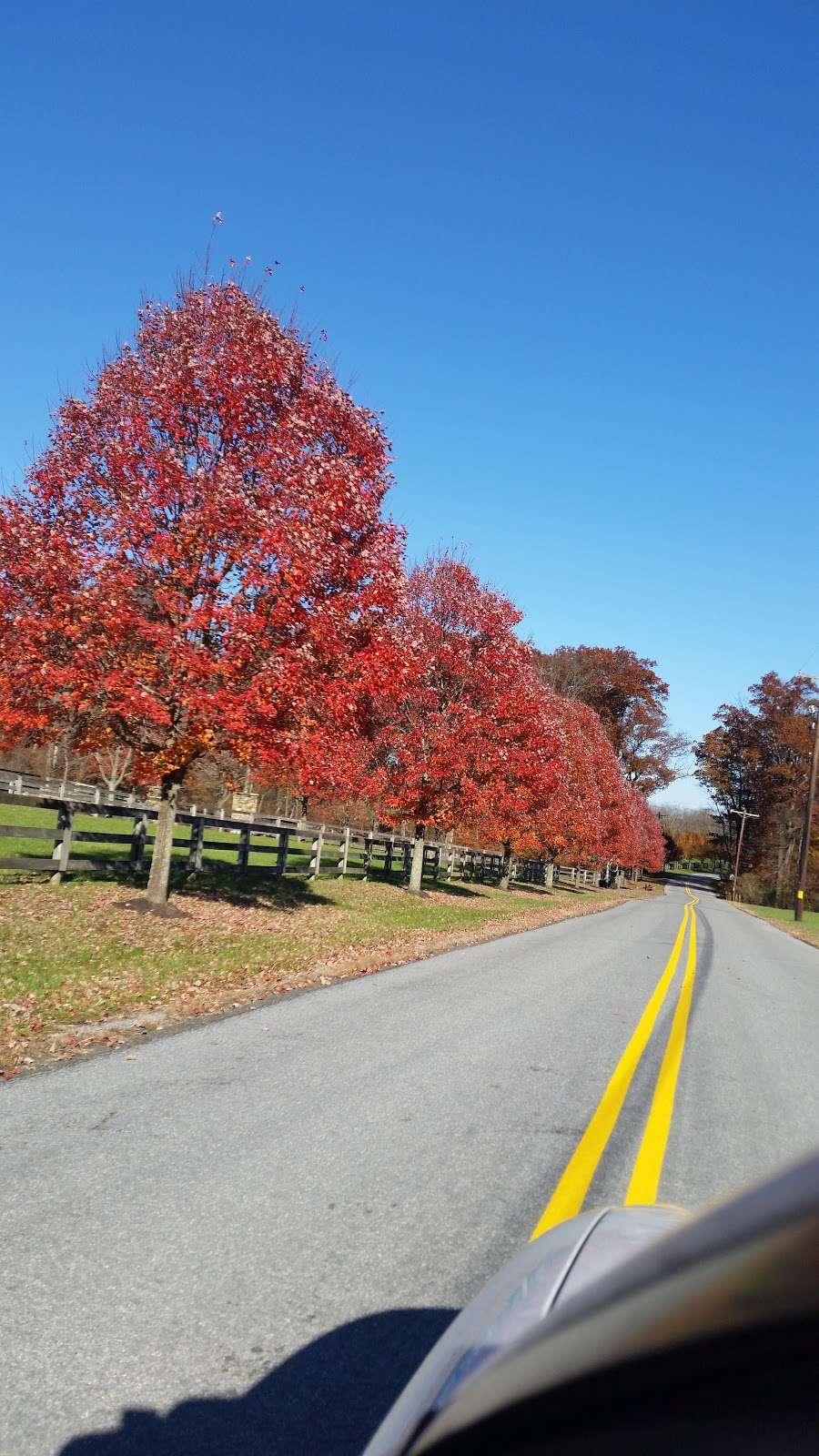 Hacklebarney Hiking Trail | 119 Hacklebarney Rd, Long Valley, NJ 07853 | Phone: (908) 638-8572