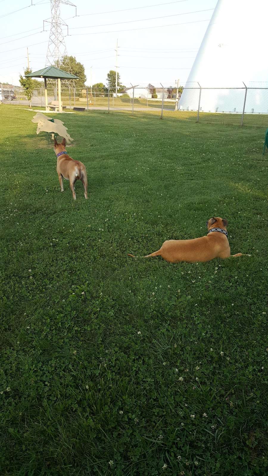 Perry Ferrini Dog Park | 5061 W 91st Ave, Crown Point, IN 46307, USA