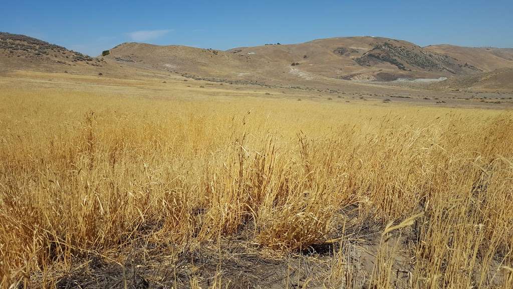 Hungry Valley State Vehicular Recreation Area North Kiosk & Visi | 5301 Ralphs Ranch Rd, Gorman, CA 93243, USA | Phone: (661) 248-7007