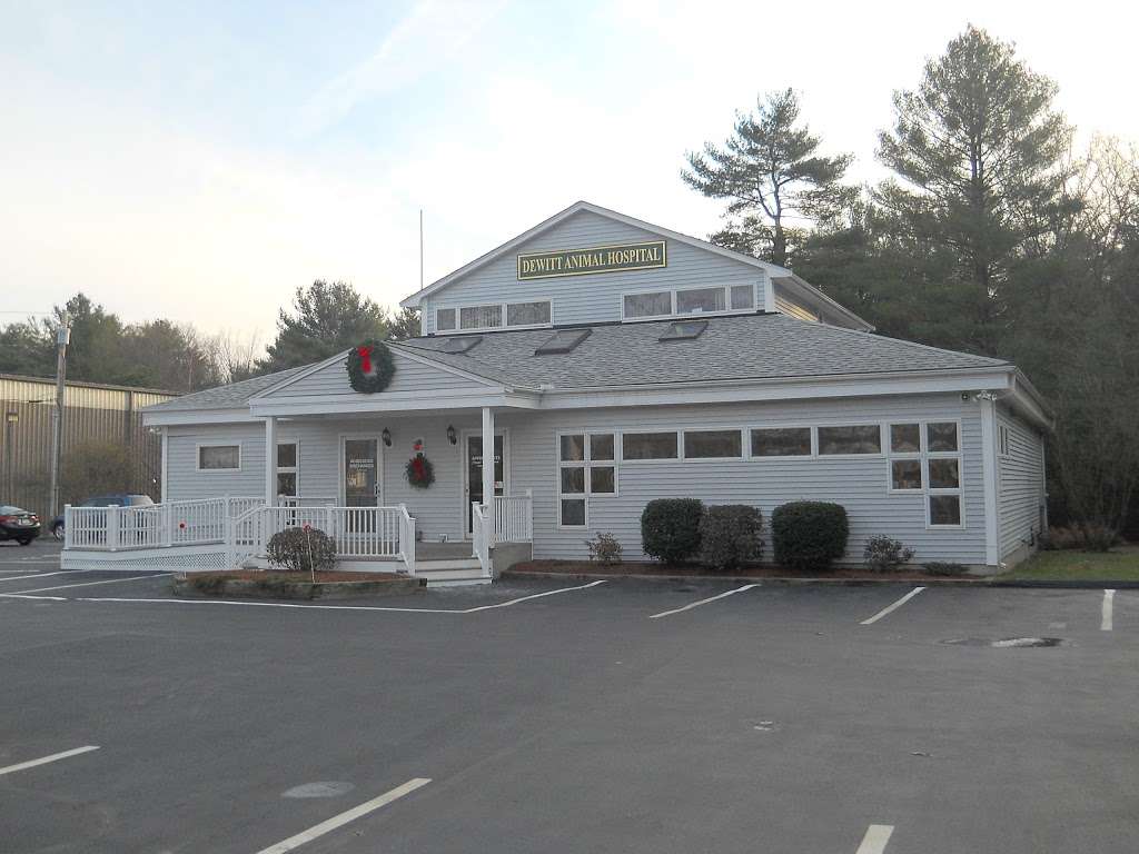 DeWitt Animal Hospital | 145 Washington St, Plainville, MA 02762, USA | Phone: (508) 695-0261