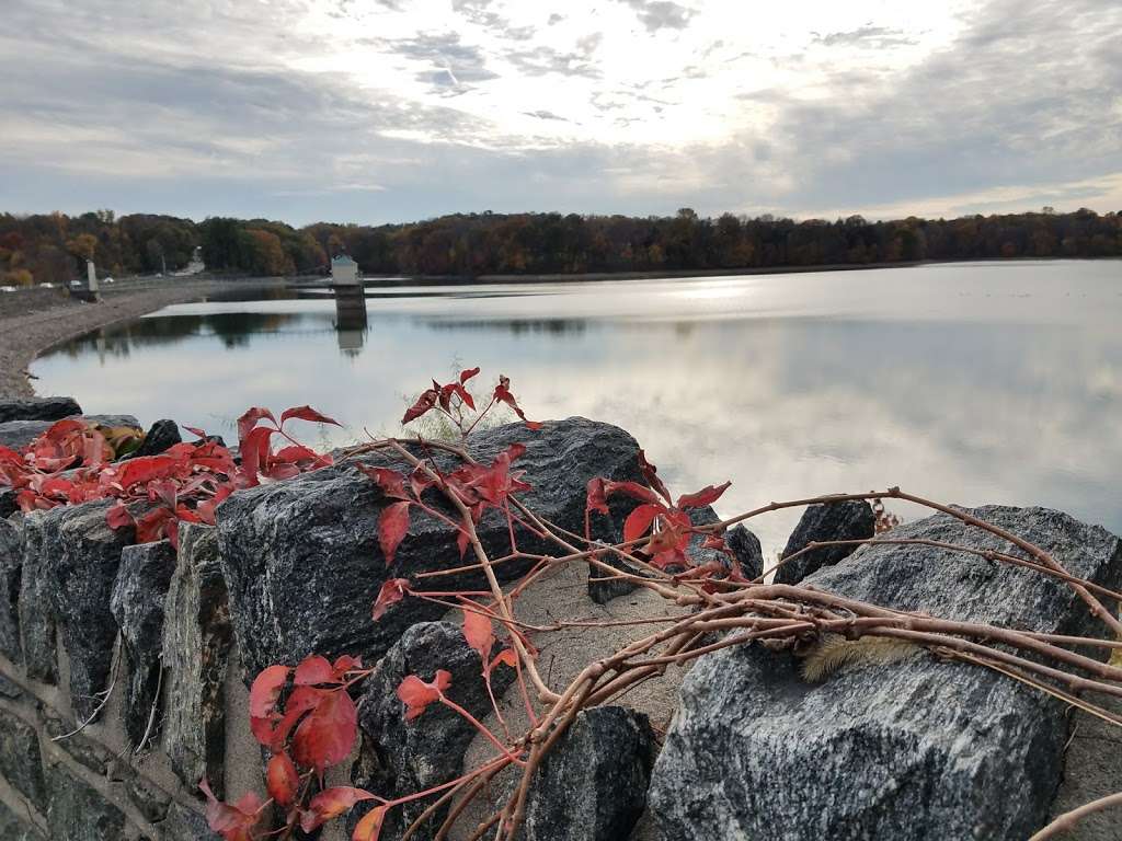 Natural Lands Hildacy Preserve | 1031 Palmers Mill Rd, Media, PA 19063 | Phone: (610) 353-5587