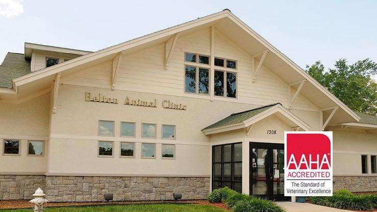 Belton Animal Clinic & Exotic Care Center | 1308 N Scott Ave, Belton, MO 64012, USA | Phone: (816) 331-3120