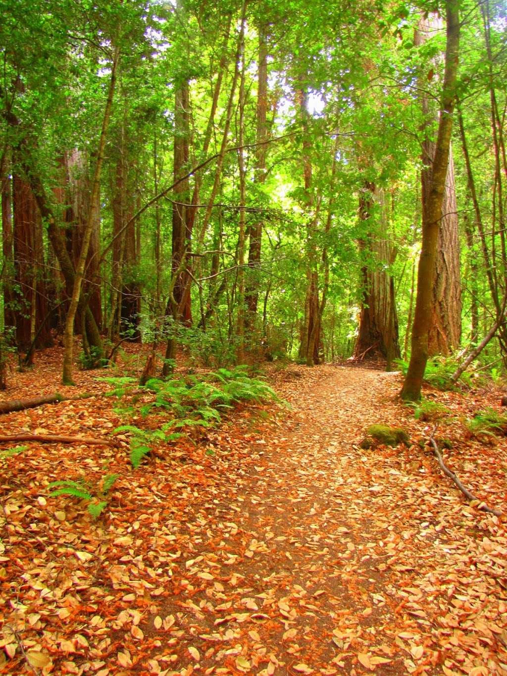 Park Office and Visitor Center | Portola State Park Rd, La Honda, CA 94020