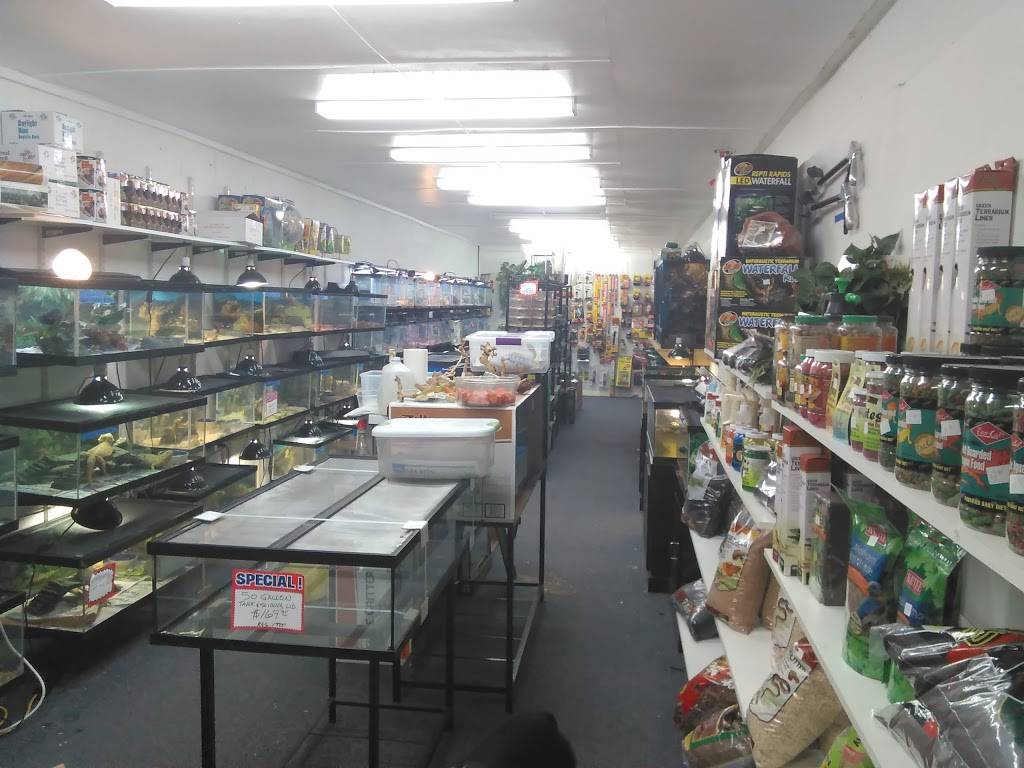 Herp Hobby Shop Reptile Breeding Center | 700 St Petersburg Dr W, Oldsmar, FL 34677 | Phone: (813) 925-0041