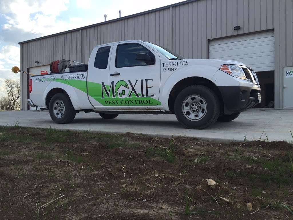 Moxie Pest Control | 1251 NW Pamela Blvd a, Grain Valley, MO 64029, USA | Phone: (816) 524-9090