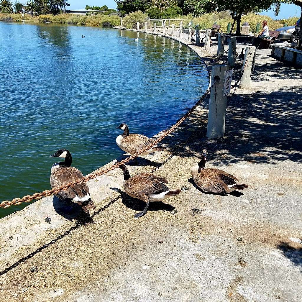 Baylands Nature Preserve Ranger Station | 2500 Embarcadero Rd, Palo Alto, CA 94303 | Phone: (650) 617-3156