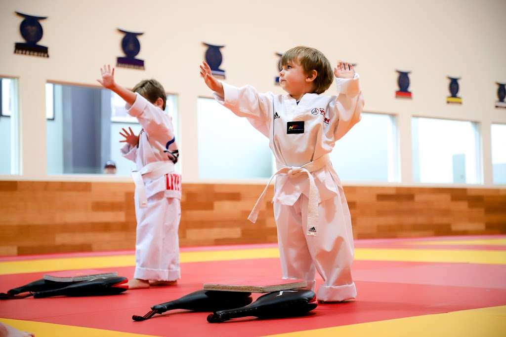 Black Belt Excellence Taekwondo | 32303 Tamina Rd, Magnolia, TX 77354, USA | Phone: (281) 789-4009