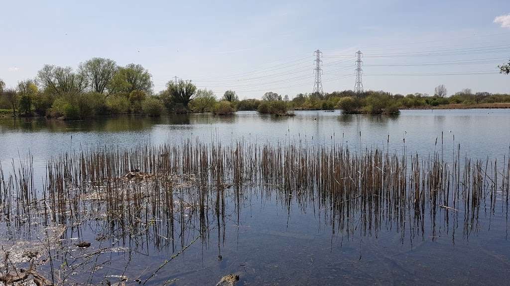 Bittern information point and hide | Seventy Acres Lake Waltham Abbey, Waltham Abbey, Waltham Cross EN8 9SA, UK | Phone: 0300 003 0610