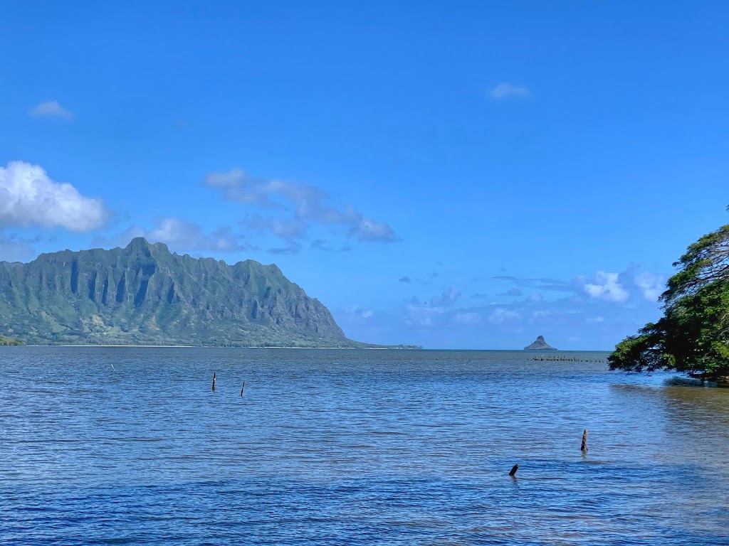 Paradise Bay Resort | 47-039 Lihikai Dr, Kaneohe, HI 96744 | Phone: (808) 239-5711