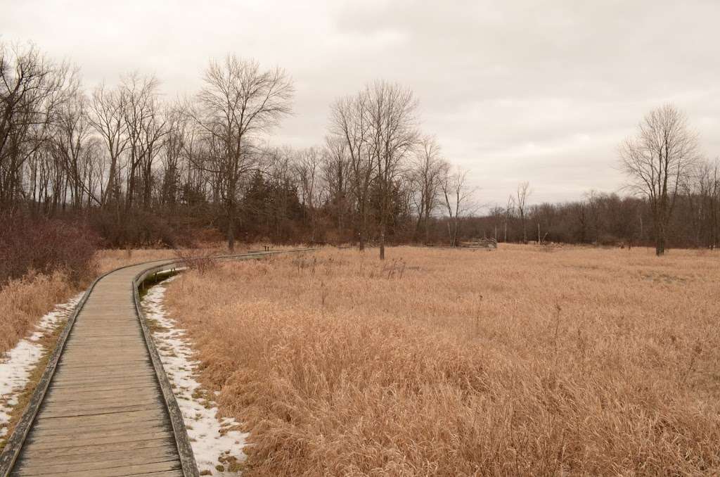 Appalachian Trail Boardwalk | Appalachian Trail, Glenwood, NJ 07418, USA