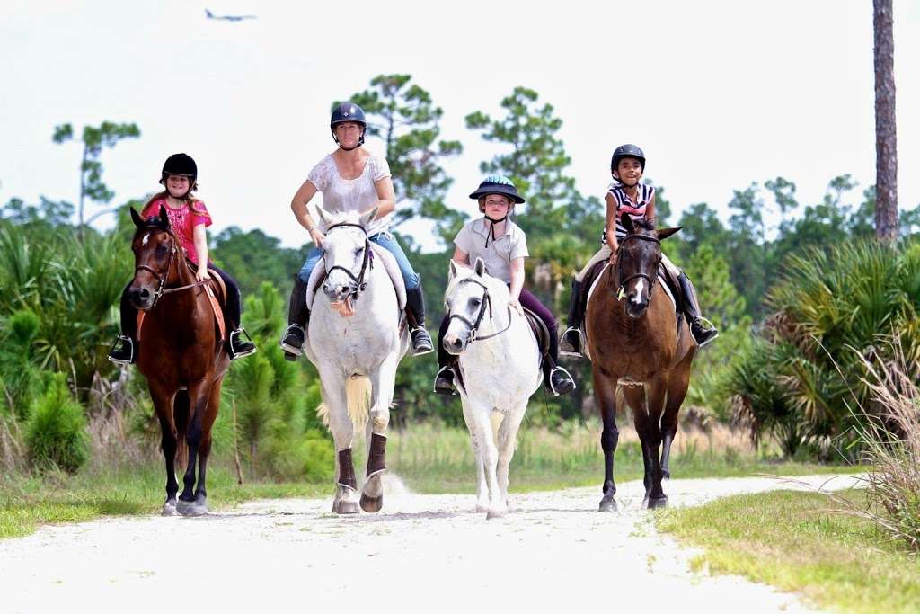 Free Spirit Riding Academy | 16600 Hollow Tree Ln, Wellington, FL 33470, USA | Phone: (561) 352-3301