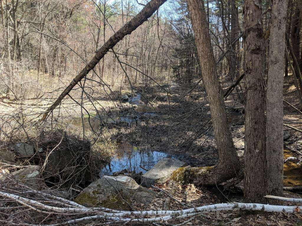 Cider Mill Pond Conservation Area | Westford, MA 01886, USA