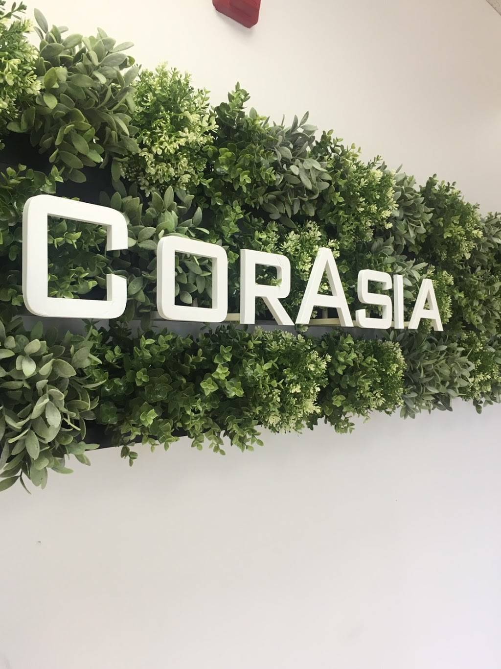 Corasia Corporation | 363 Fairview Way, Milpitas, CA 95035, USA | Phone: (408) 649-3472