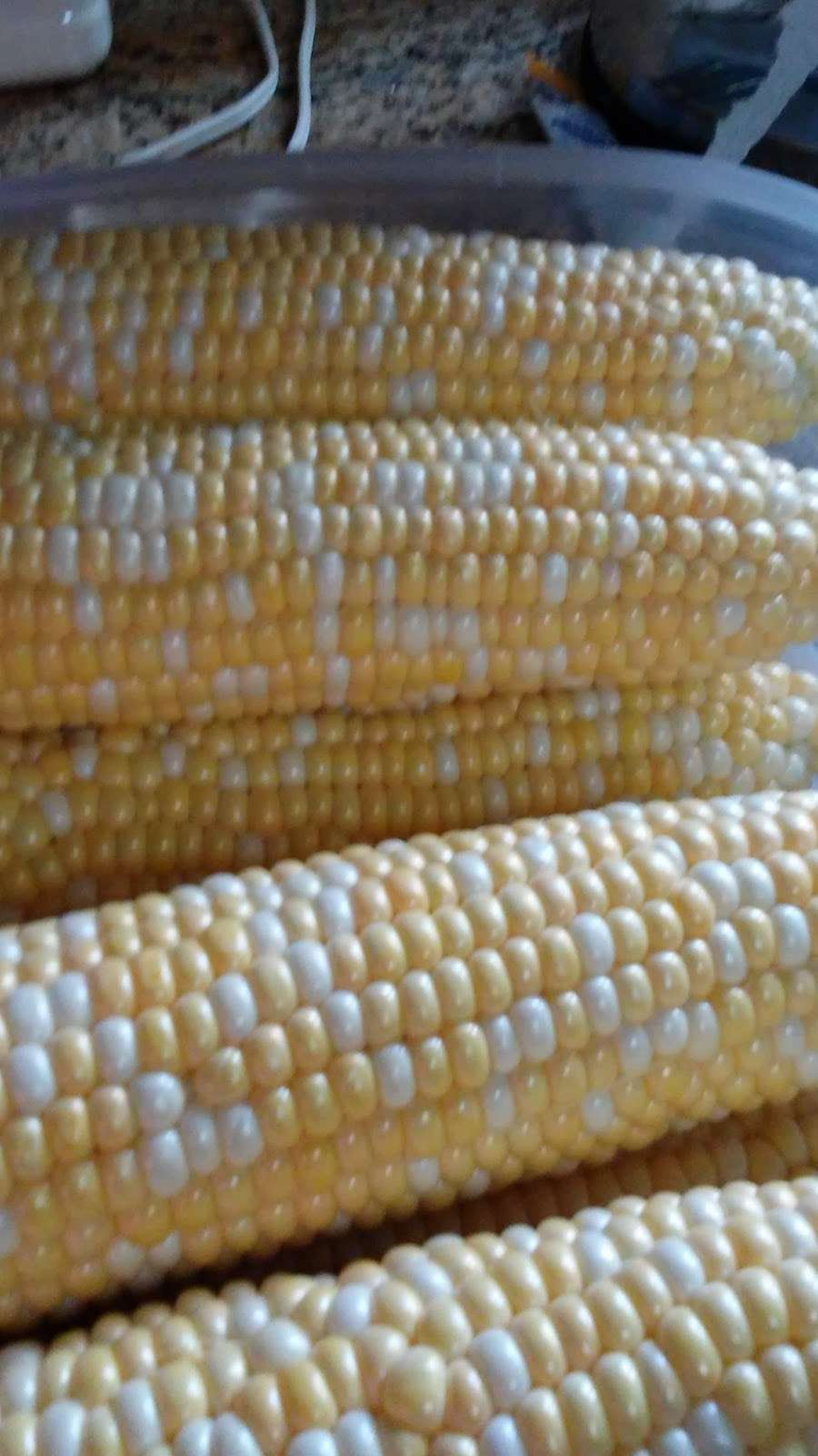 Kings Sweet Corn & Produce | 2849 Lower Valley Rd, Parkesburg, Parkesburg, PA 19365, USA | Phone: (610) 593-2915