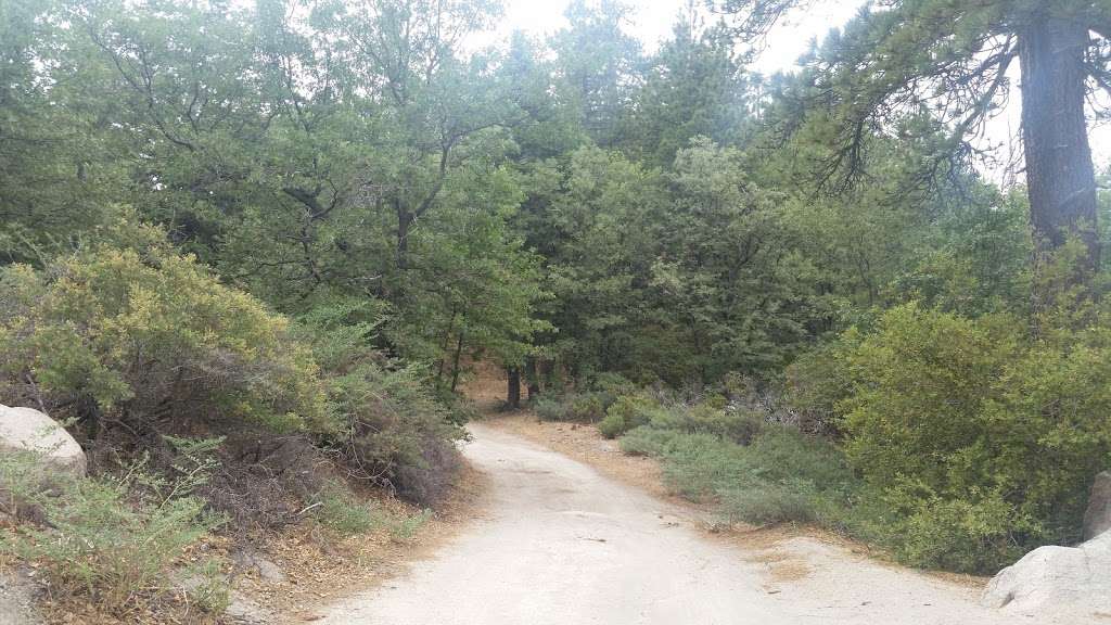 Camp Creek National Recreation Trail 1W09 | 36807 CA-18, Green Valley Lake, CA 92341 | Phone: (909) 382-2790