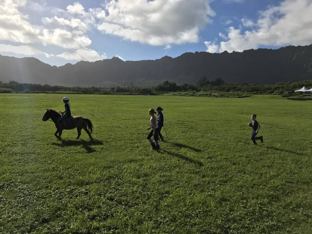 Hawaii Polo Lessons | 41-1062 Kalanianaʻole Hwy, Waimanalo, HI 96795, USA | Phone: (808) 421-9874