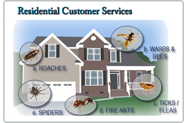 Pestprotection Pest Control | 14071 Peyton Dr #2455, Chino Hills, CA 91709, USA | Phone: (626) 483-1090