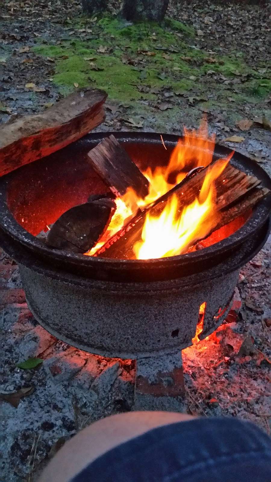 Pilgrim Lake Campgrounds | 940 Stage Rd, New Gretna, NJ 08224, USA | Phone: (609) 296-4725