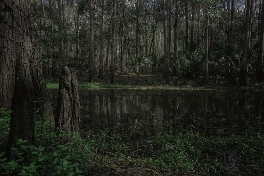 Shingle Creek Trail: Pine Island East Loop | Orlando, FL 32837, USA