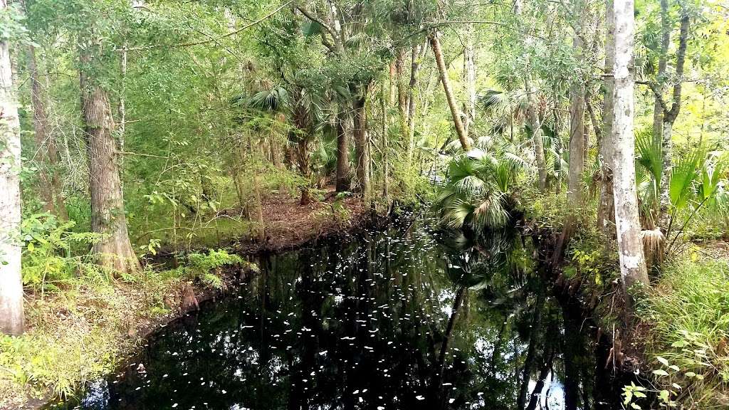Lake George Wildlife Management Area | Pierson, FL 32180, USA