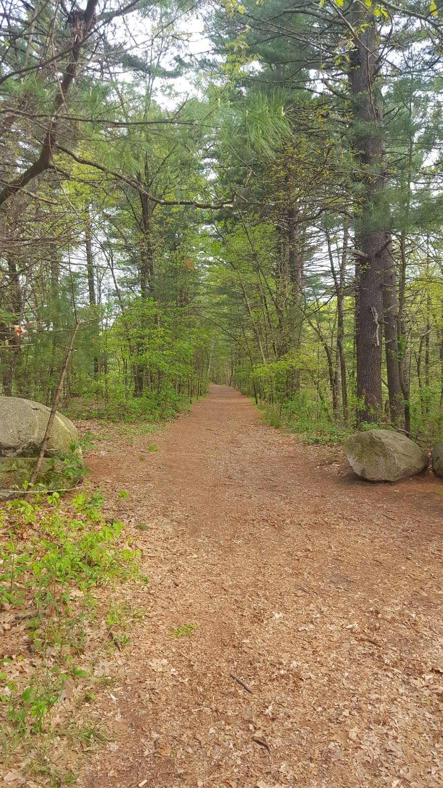 Russell Bird Sanctuary Trail | 18 Kylemore Dr, Westford, MA 01886, USA