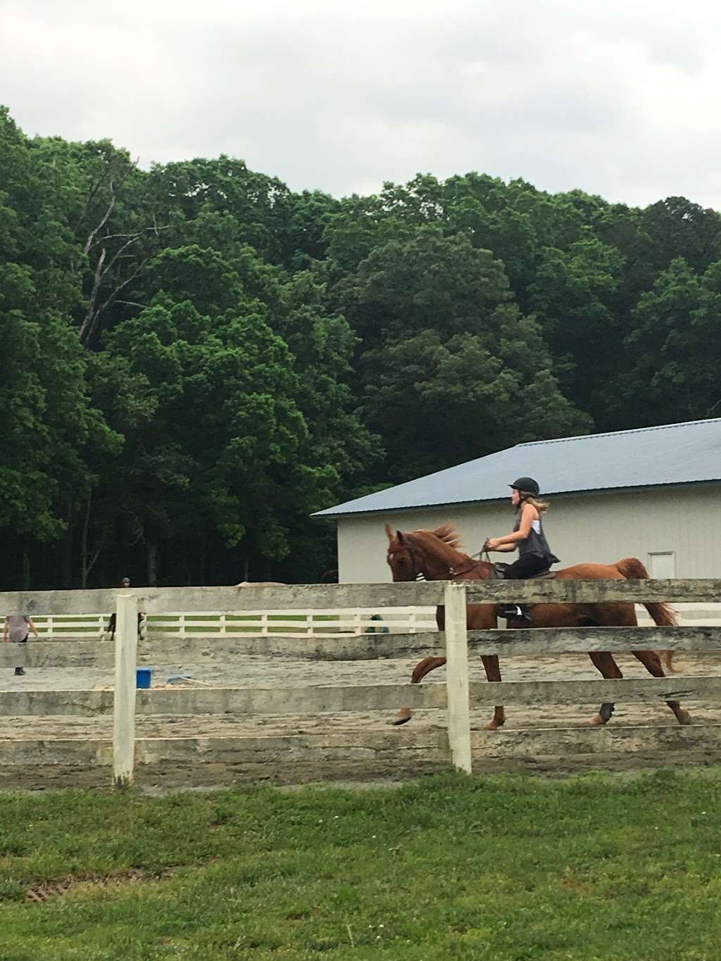 Lenux Stables & Riding Academy | 10610 Kerns Rd, Huntersville, NC 28078, USA | Phone: (704) 947-7433