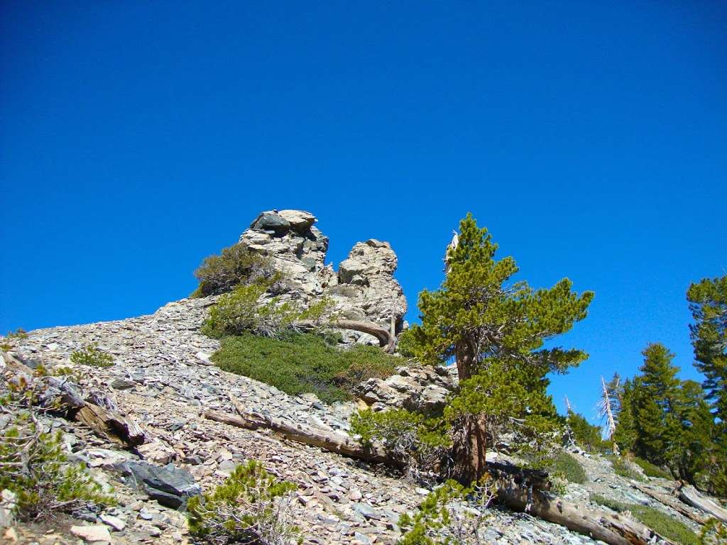 Mount Baldy Visitor Center | Mt Baldy Rd, Mt Baldy, CA 91759, USA | Phone: (909) 982-2829