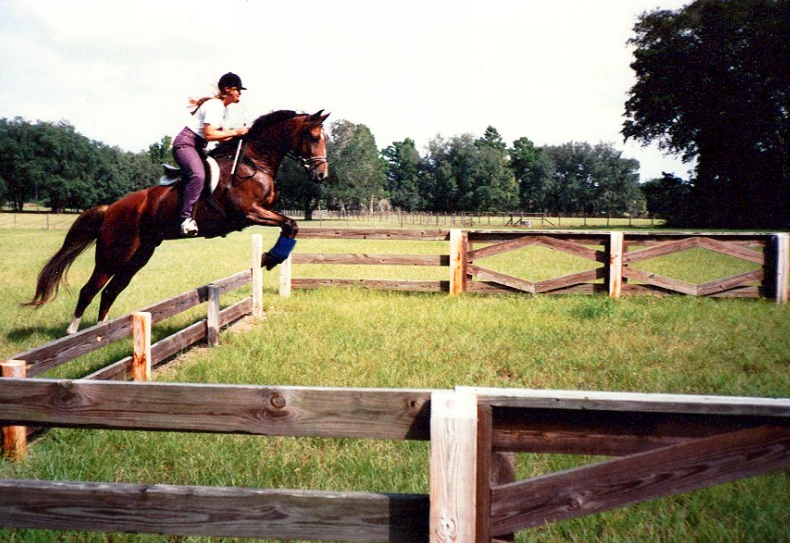 Desert Acres Stables | 5035 Florida Palm Ave, Cocoa, FL 32927, USA | Phone: (321) 759-1605