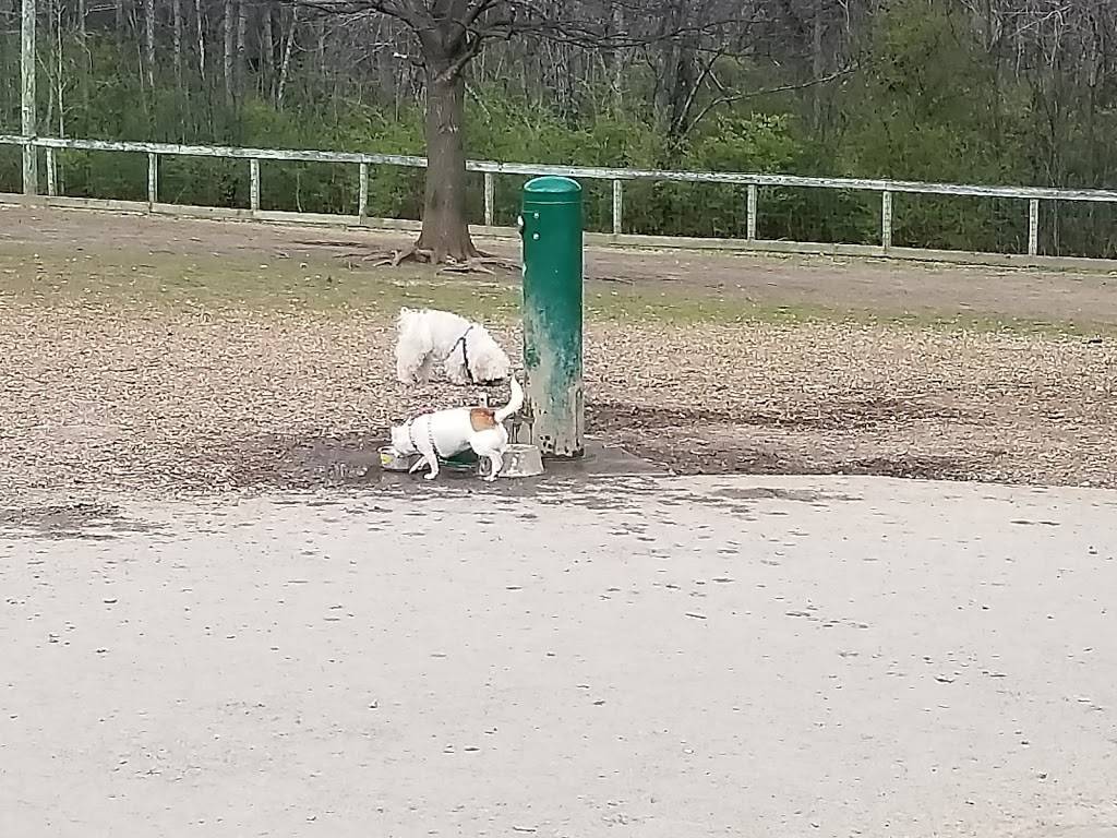 Shelby Dog Park | Shelby Ave & S. 20th Street, Nashville, TN 37206, USA | Phone: (615) 862-8400