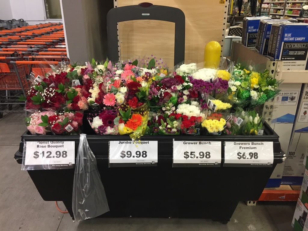 The Home Depot | 18282 Collier Ave, Lake Elsinore, CA 92530, USA | Phone: (951) 245-9055
