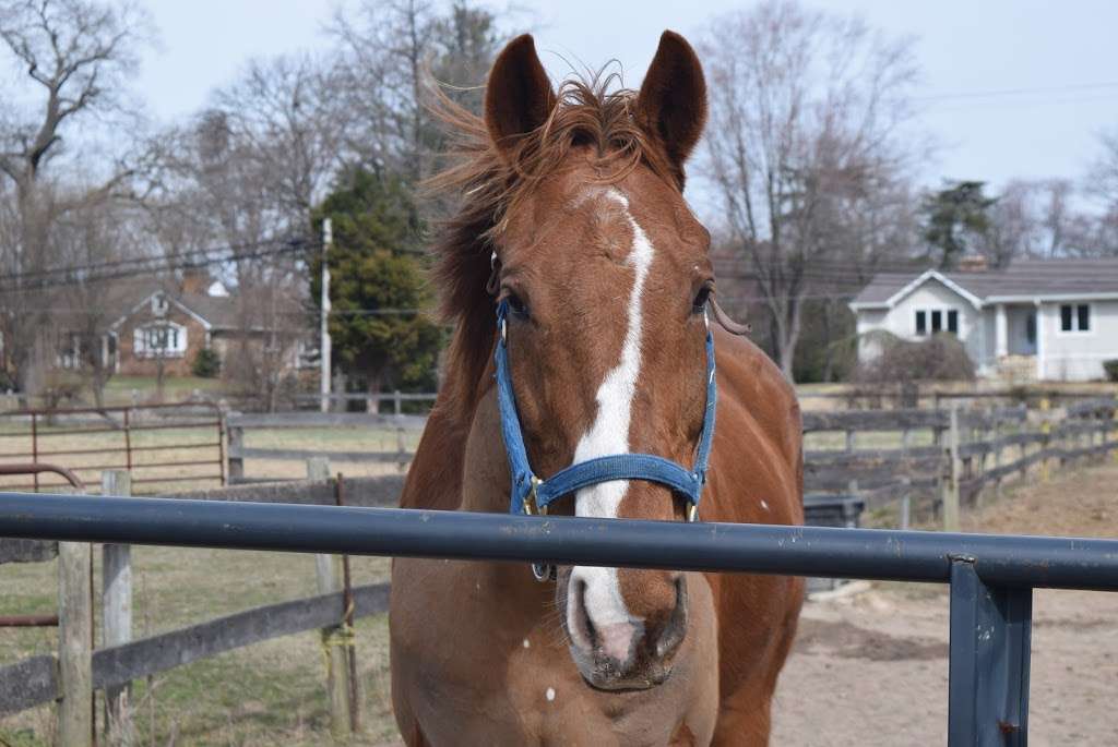 Fence Post Farm | 7920 Shipley Rd, Pasadena, MD 21122 | Phone: (410) 530-3654