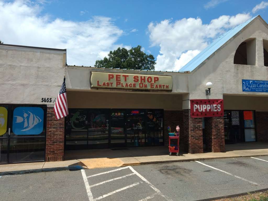 Last Place On Earth Petshop | 5655 N Tryon St, Charlotte, NC 28213 | Phone: (704) 596-4214