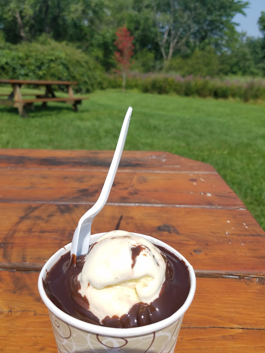 Meadowlands Ice Cream | 328 N Billerica Rd, Tewksbury, MA 01876, USA | Phone: (978) 454-6701