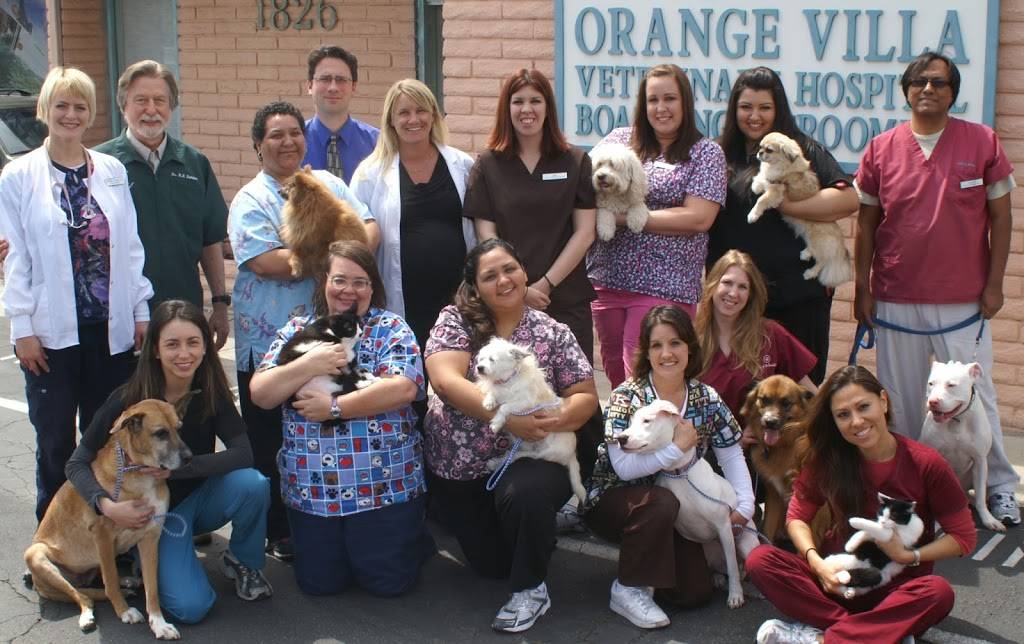 Affordable Animal Hospital of Orange | 1826 N Tustin St, Orange, CA 92865 | Phone: (714) 637-3660