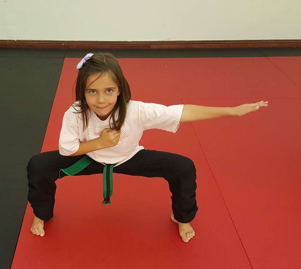 Bright Star Martial Arts | 22892 Copper Hill Dr, Santa Clarita, CA 91350, USA | Phone: (661) 263-7827