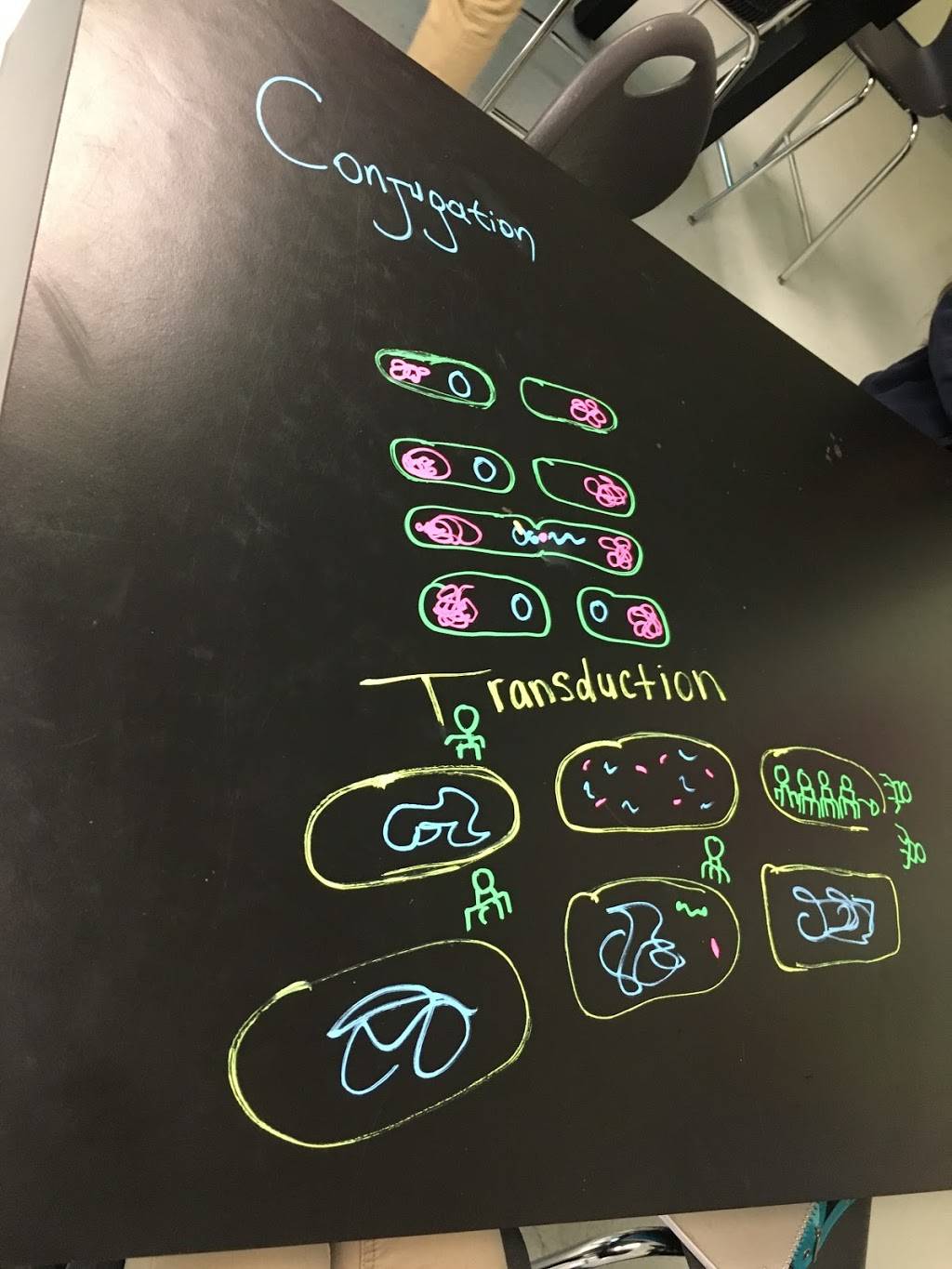 Dove Science Academy Tulsa High school | 4115 S 100th E Ave, Tulsa, OK 74146, USA | Phone: (918) 576-6719