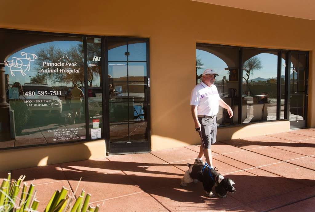 Pinnacle Peak Animal Hospital | 23425 N Scottsdale Rd A-11, Scottsdale, AZ 85255, USA | Phone: (480) 585-7511