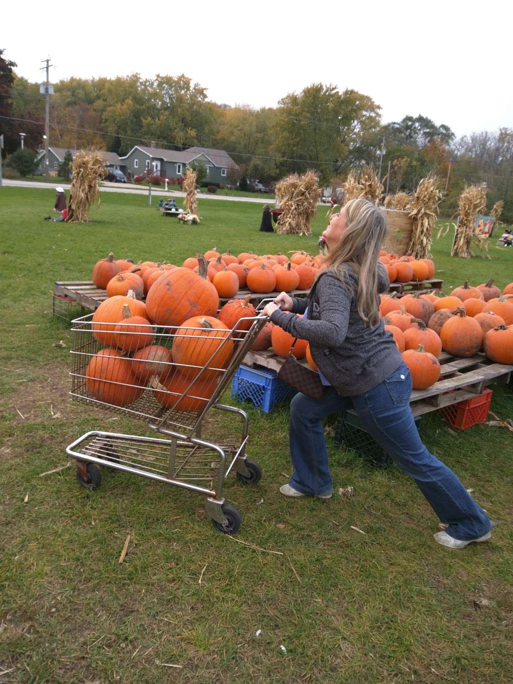 Stiles Vegetable Farm and Greenhouse | 11717 Sheridan Rd, Pleasant Prairie, WI 53158 | Phone: (262) 694-5256