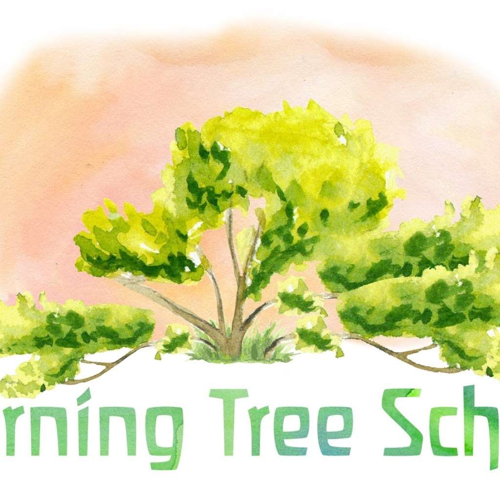 Morning Tree School | 2491 San Miguel Dr, Walnut Creek, CA 94596, USA | Phone: (925) 210-1370