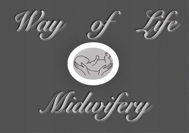 Way of Life Midwifery | 550 White Haven Rd, Bear Creek Village, PA 18602, USA | Phone: (989) 351-8833