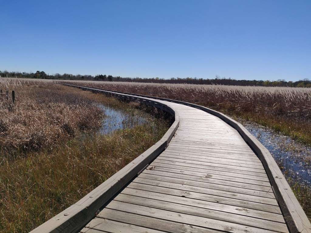 Butterfly Garden, El Franco Lee Park | Unnamed Road, Pearland, TX 77581, USA